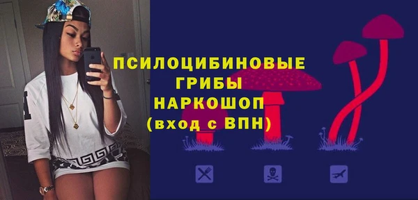 герыч Алексин