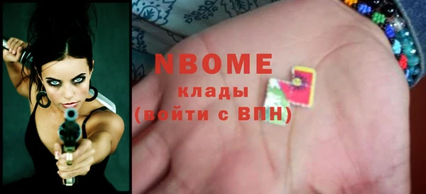 прущие грибы Новозыбков