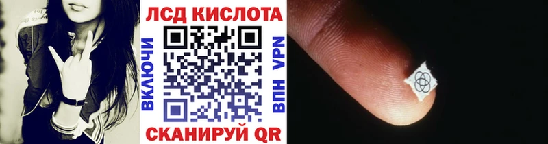 OMG как войти  закладка  Порхов  Марки N-bome 1500мкг 